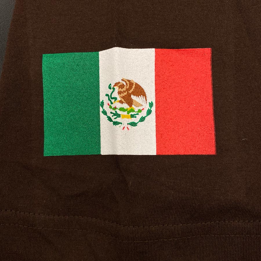 Los Angeles Dodgers Mexico Flag Wordmark New Era T-Shirt