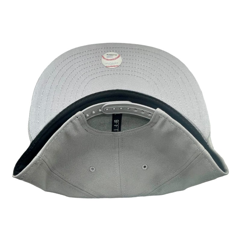 St. Louis Cardinals Gray and Royal Blue New Era 9FIFTY Snapback Hat