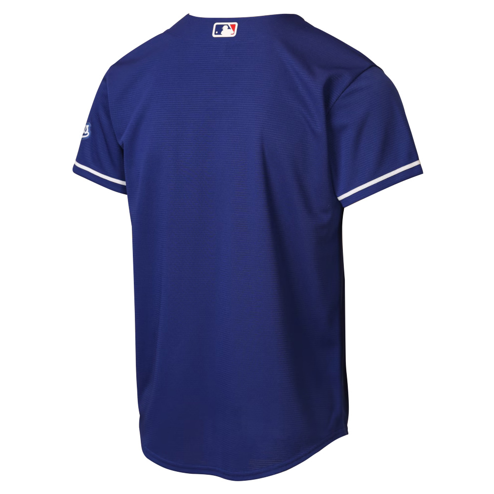 Youth Los Angeles Dodgers Blank Royal Blue Alternate Nike Stadium Jersey