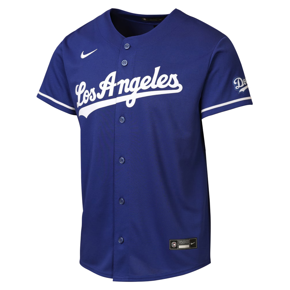 Youth Los Angeles Dodgers Blank Royal Blue Alternate Nike Stadium Jersey