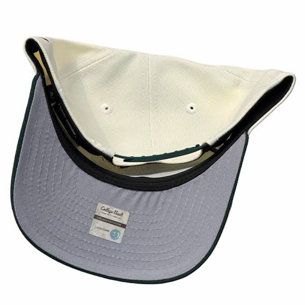 Tennessee Volunteers Chrome and Dark Green 100 Years Patch New Era 9FIFTY A-Frame Snapback Hat