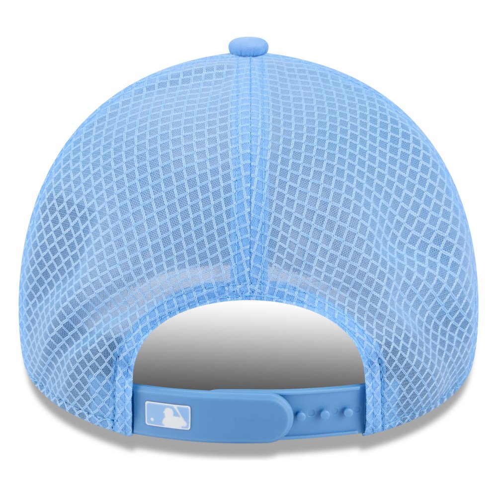 St. Louis Cardinals Sky Blue Tonal Cardinals Wordmark New Era 9FORTY APEX Hat