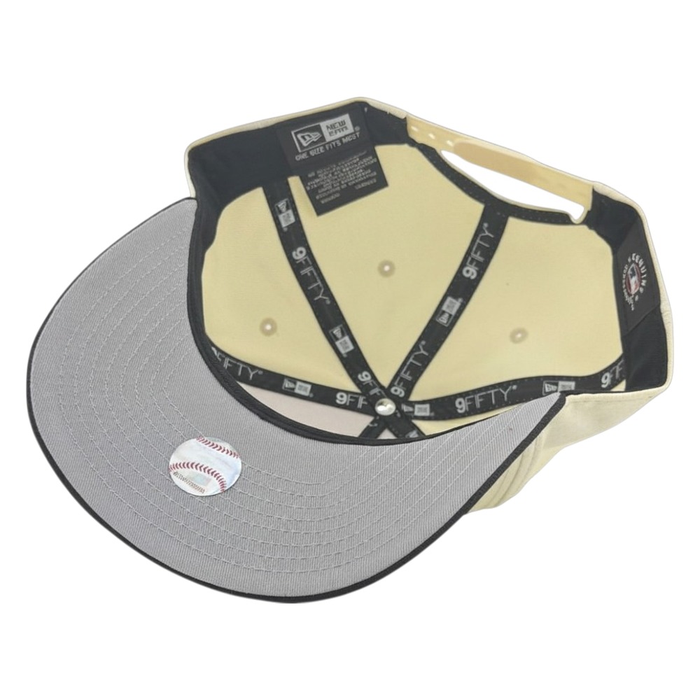 Los Angeles Dodgers Chrome and Royal Blue Palm Tree New Era 9FIFTY A-Frame Snapback Hat