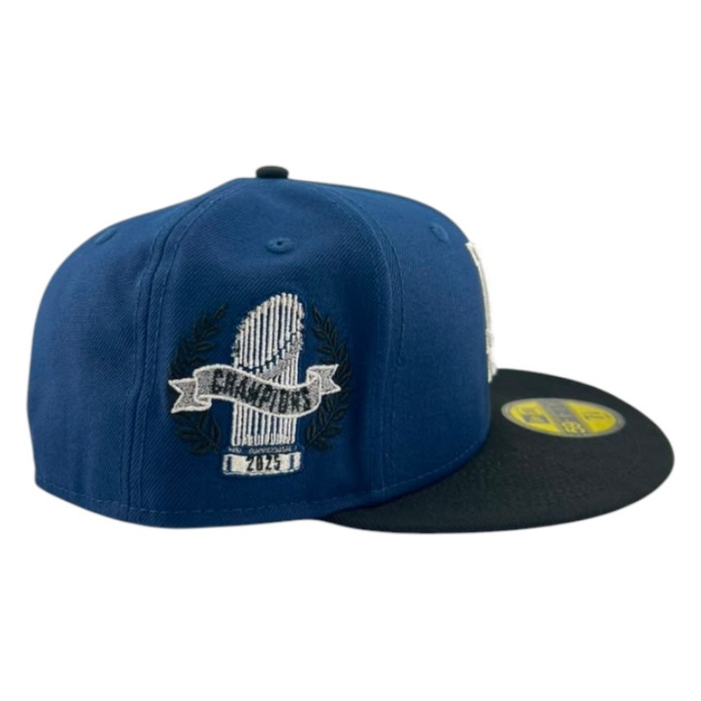 Los Angeles Dodgers Oceanside Silver Two Tone Metallic New Era 59FIFTY Fitted Hat