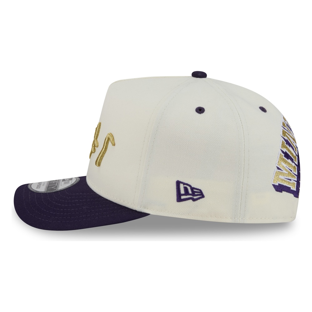Minnesota Vikings Chrome and Purple 2026 Rivalries Collection Fan