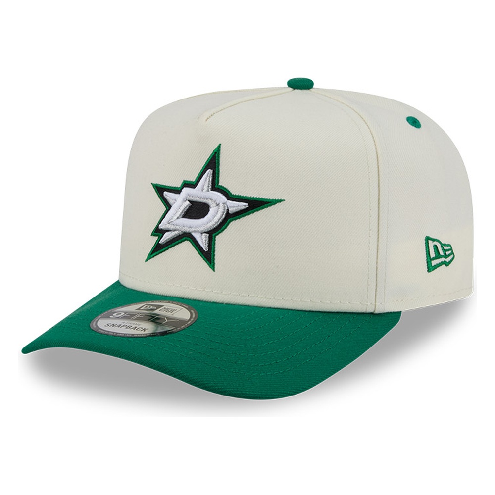Dallas Stars Chrome and Green Rear Hit 9FIFTY A-Frame Snapback Hat