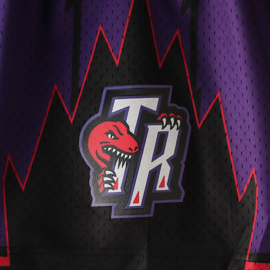 Toronto Raptors Mitchell & Ness Hardwood Classics Team Purple 1998-99 Swingman Shorts